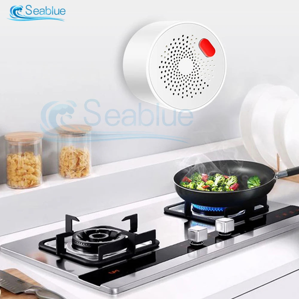 Gas Leakage Detector